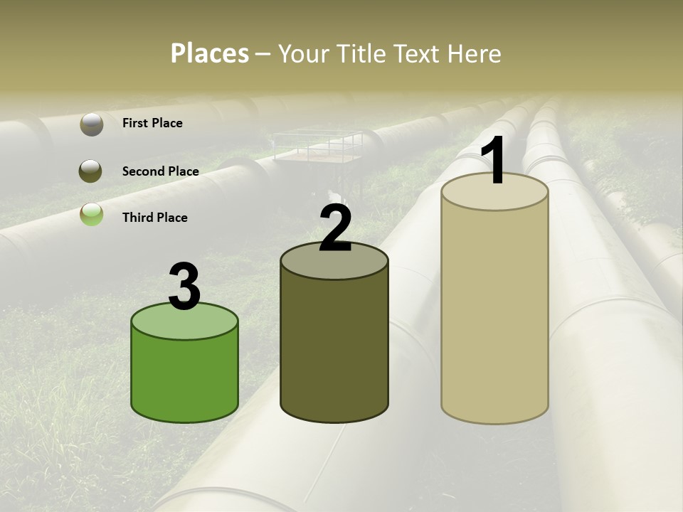 Nuts Pipeline Forest PowerPoint Template