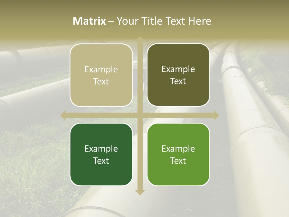 Nuts Pipeline Forest PowerPoint Template
