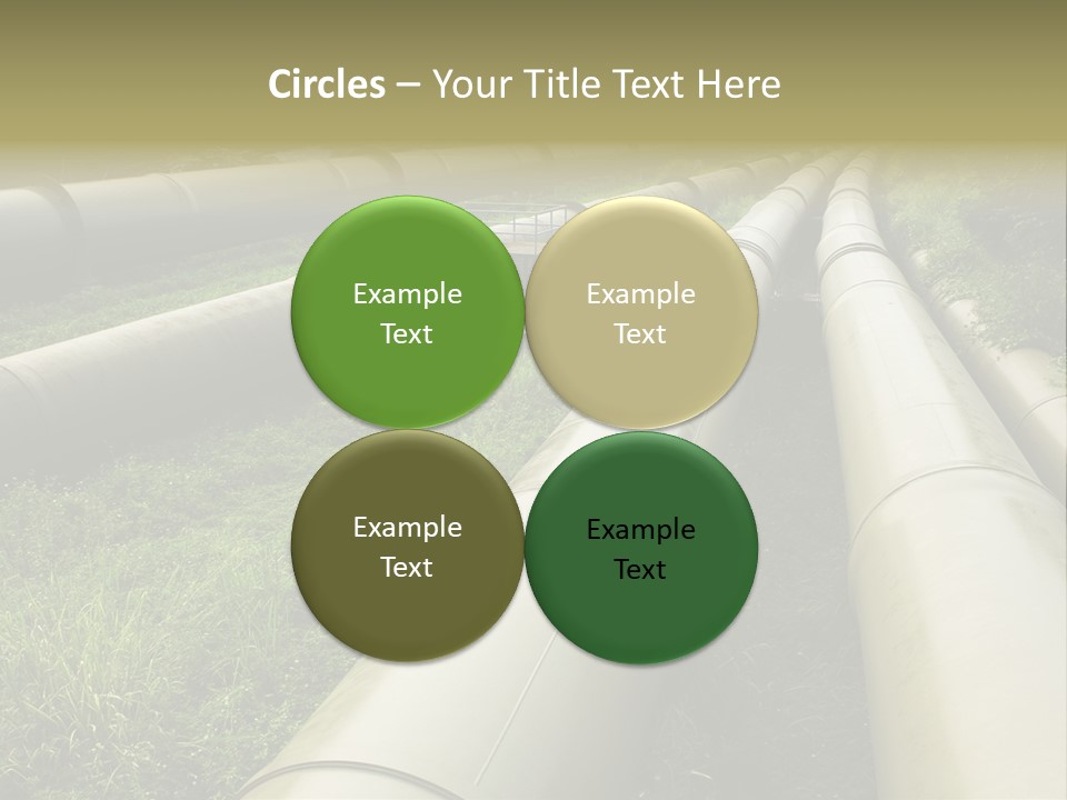Nuts Pipeline Forest PowerPoint Template