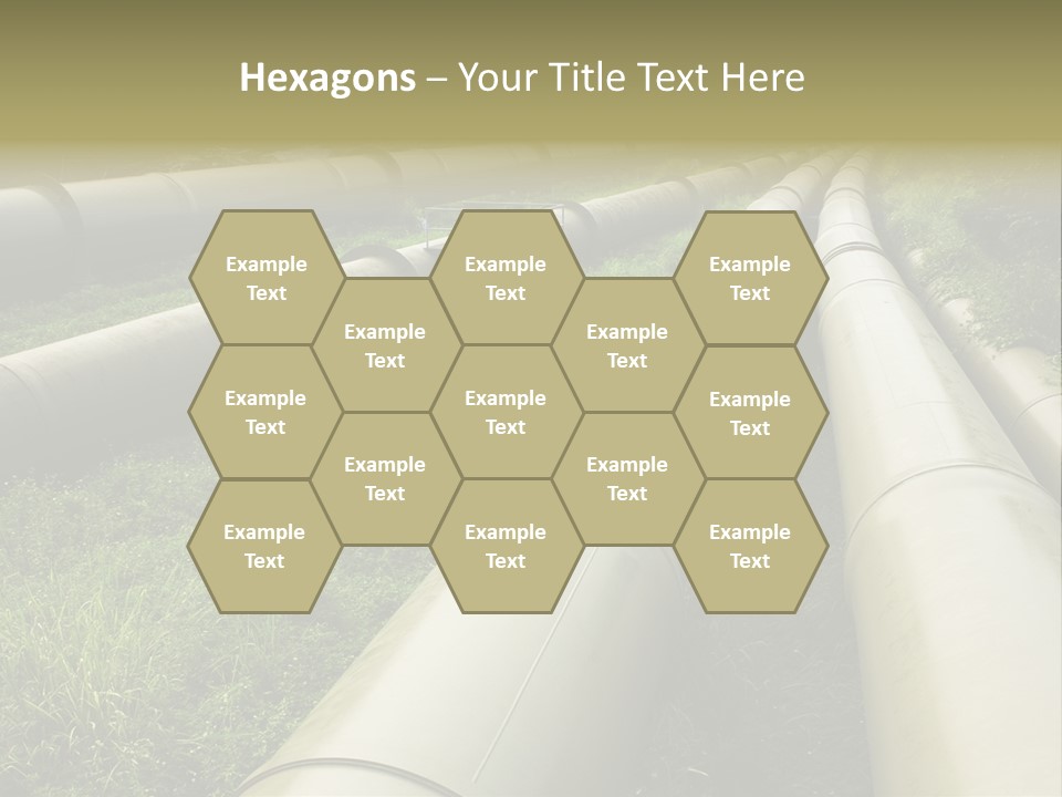 Nuts Pipeline Forest PowerPoint Template