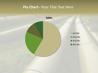 Nuts Pipeline Forest PowerPoint Template