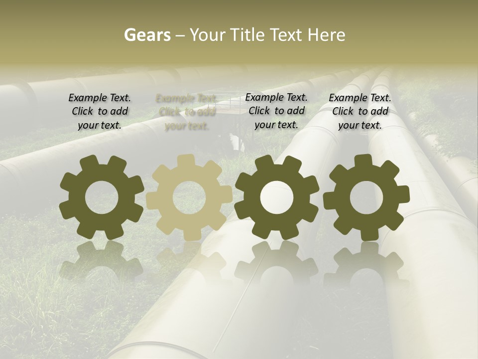 Nuts Pipeline Forest PowerPoint Template