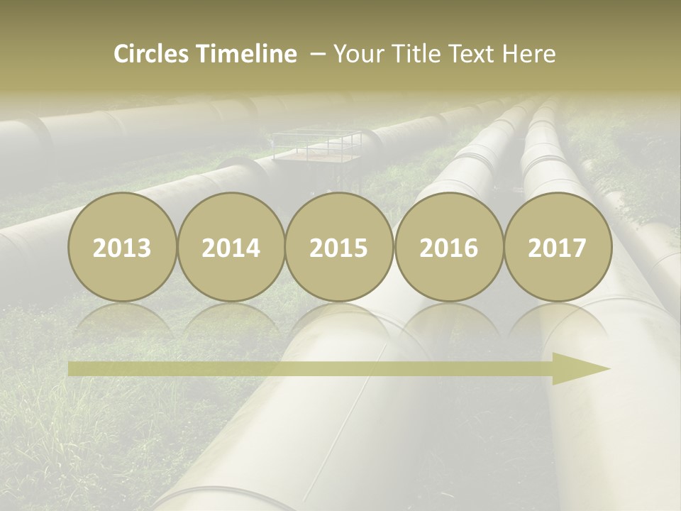 Nuts Pipeline Forest PowerPoint Template