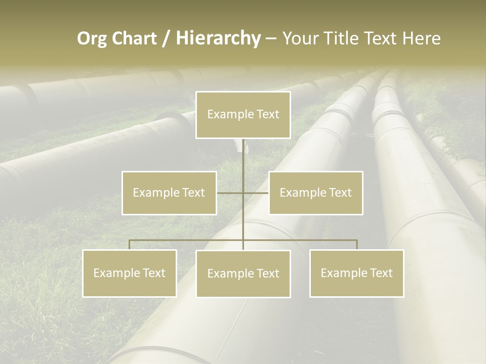 Nuts Pipeline Forest PowerPoint Template