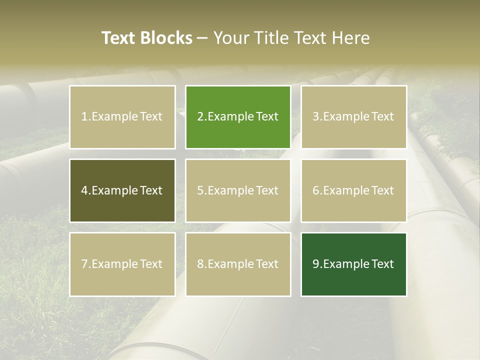 Nuts Pipeline Forest PowerPoint Template