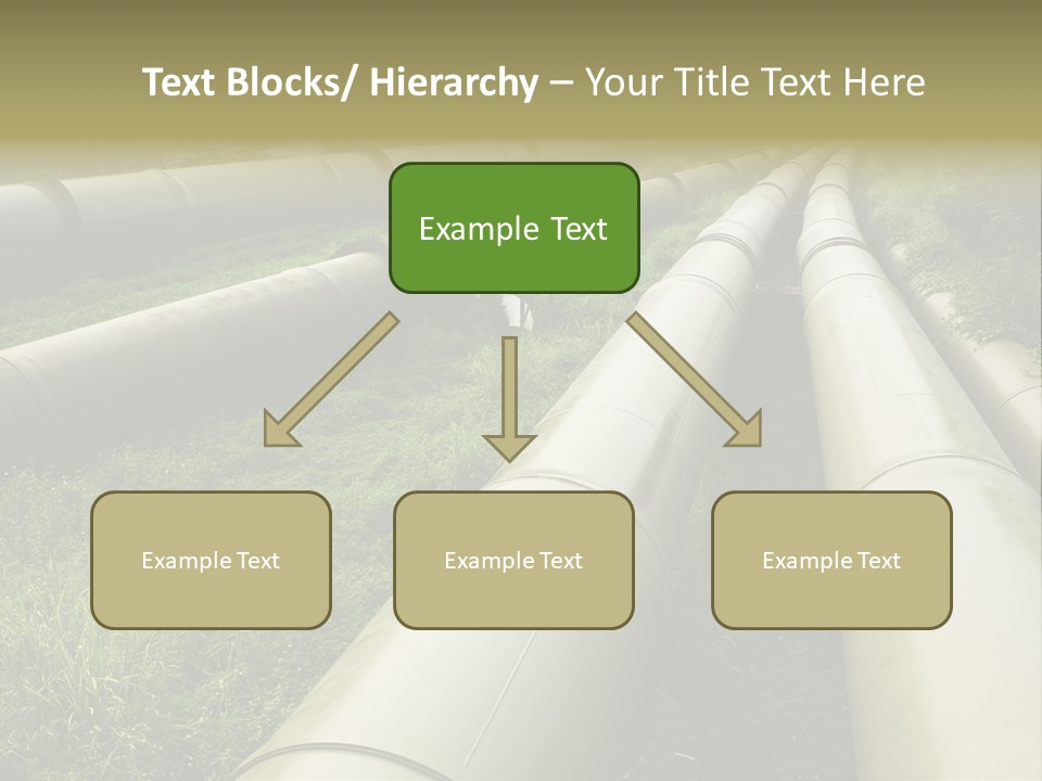 Nuts Pipeline Forest PowerPoint Template
