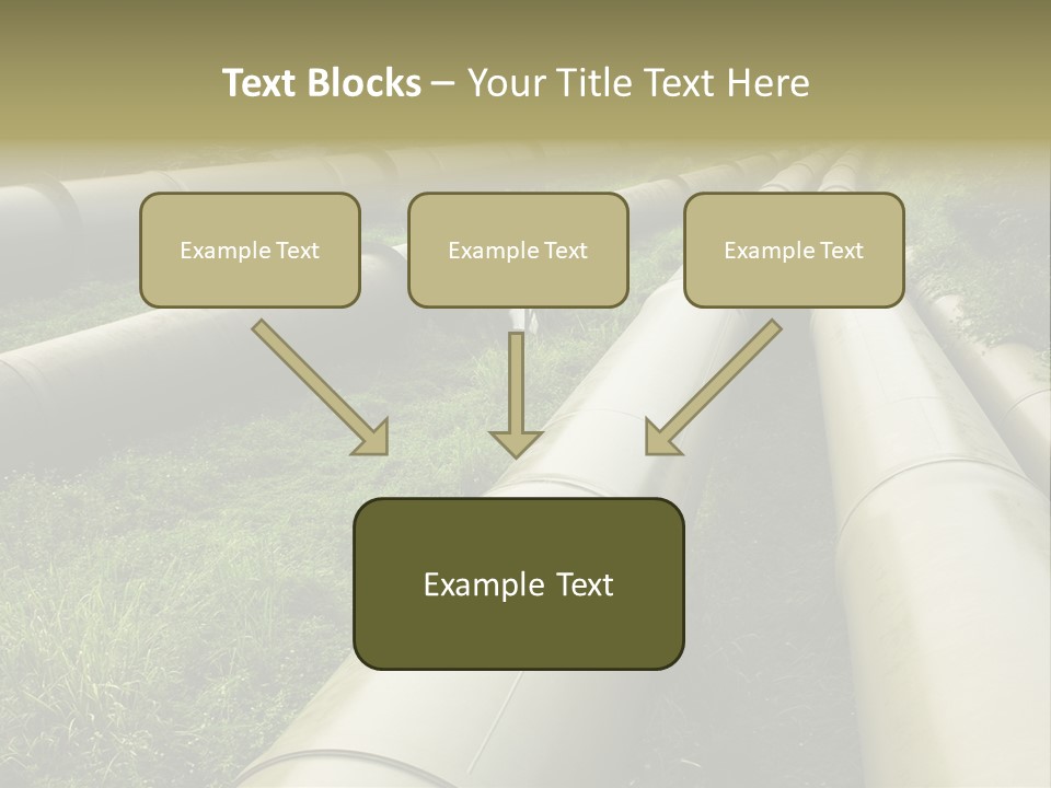 Nuts Pipeline Forest PowerPoint Template
