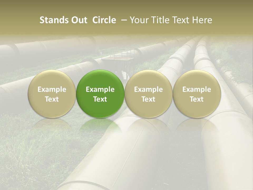 Nuts Pipeline Forest PowerPoint Template