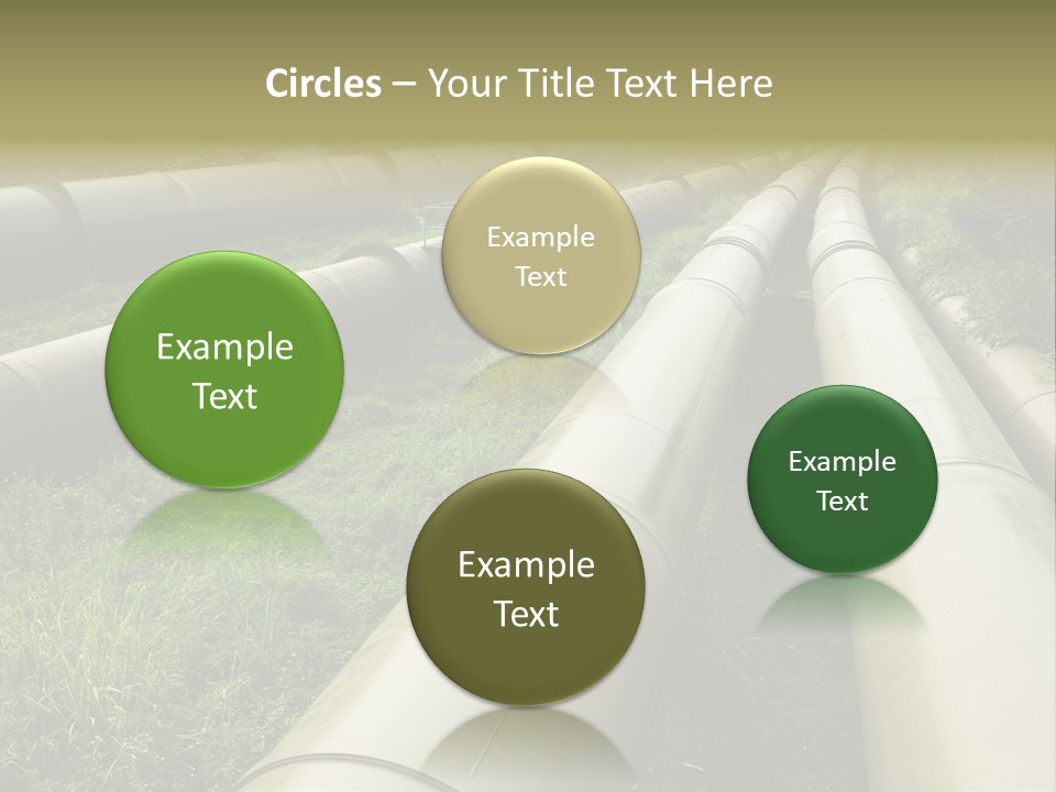 Nuts Pipeline Forest PowerPoint Template