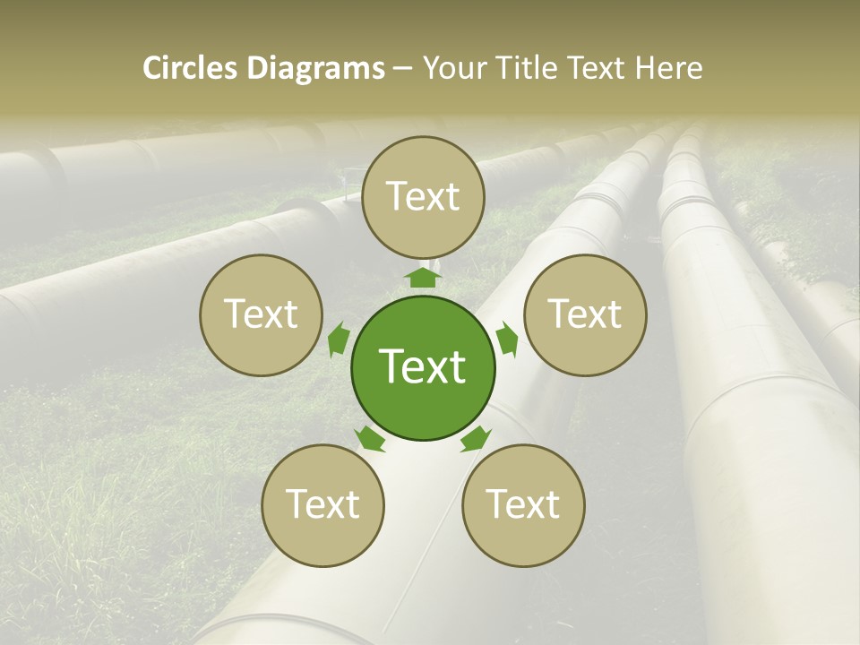 Nuts Pipeline Forest PowerPoint Template
