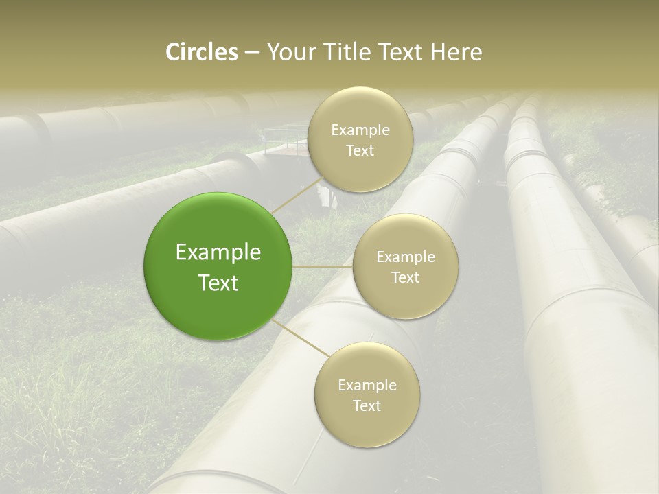 Nuts Pipeline Forest PowerPoint Template