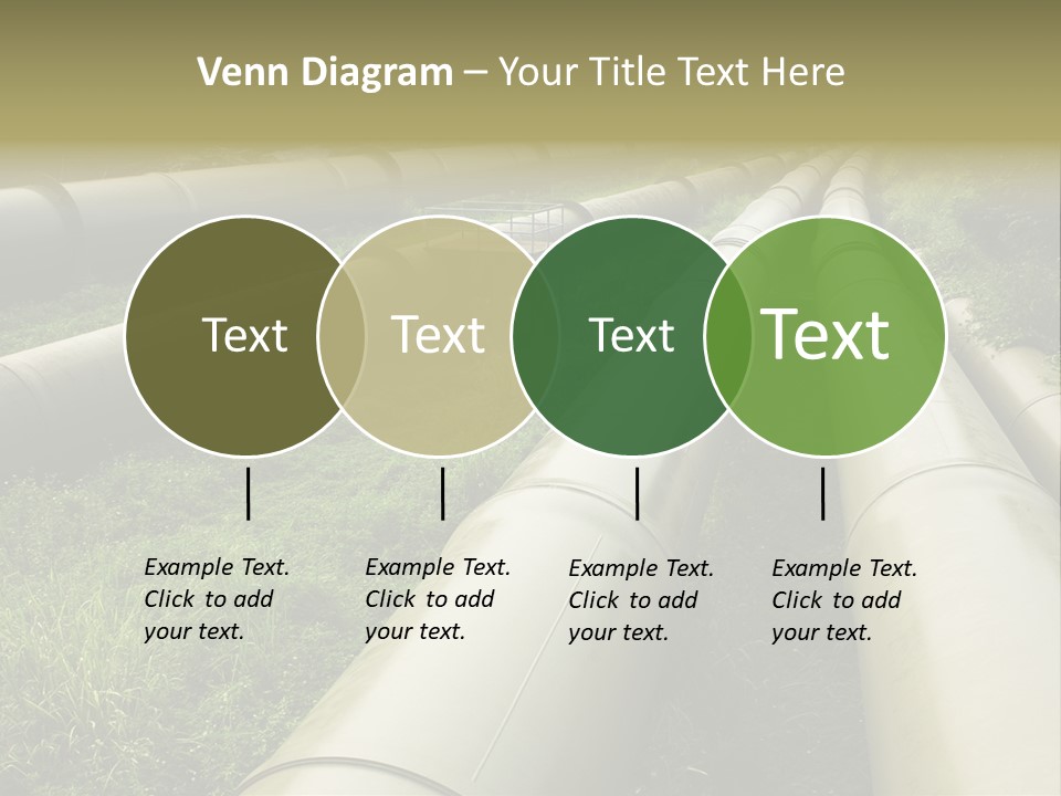 Nuts Pipeline Forest PowerPoint Template