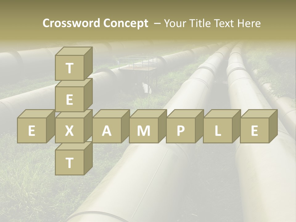 Nuts Pipeline Forest PowerPoint Template