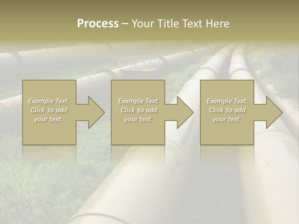 Nuts Pipeline Forest PowerPoint Template
