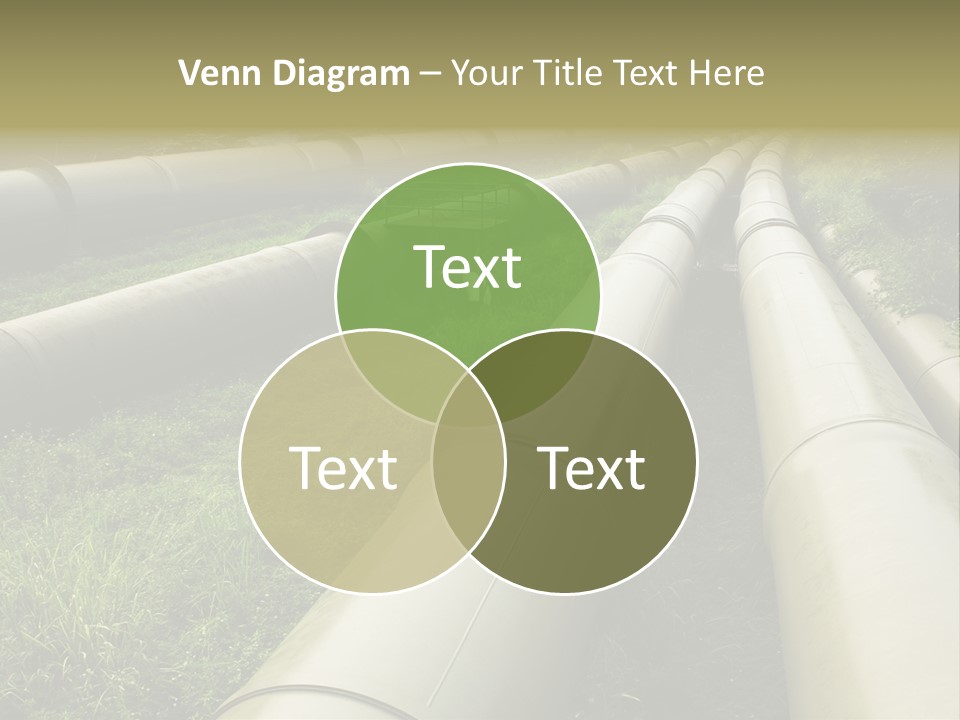 Nuts Pipeline Forest PowerPoint Template