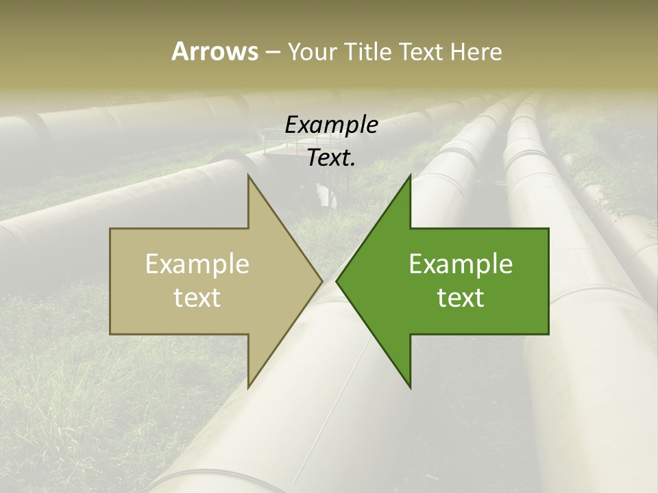 Nuts Pipeline Forest PowerPoint Template