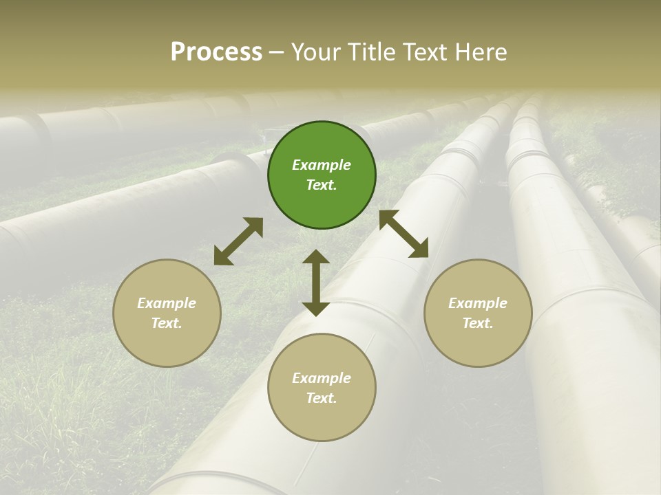 Nuts Pipeline Forest PowerPoint Template