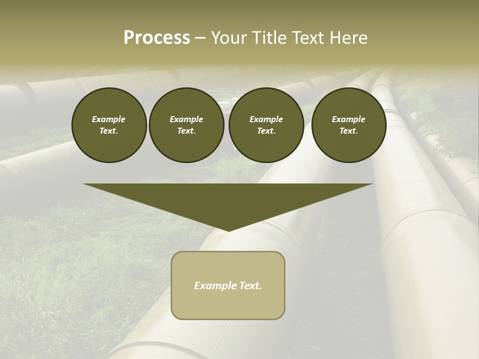 Nuts Pipeline Forest PowerPoint Template