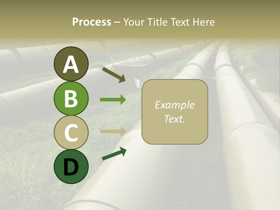 Nuts Pipeline Forest PowerPoint Template