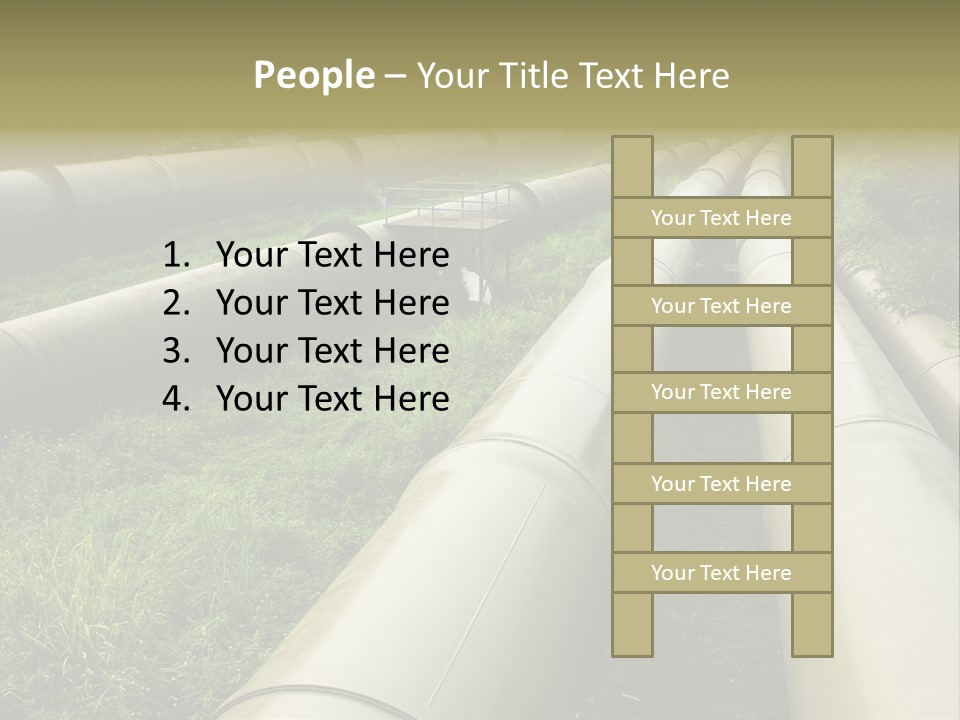 Nuts Pipeline Forest PowerPoint Template