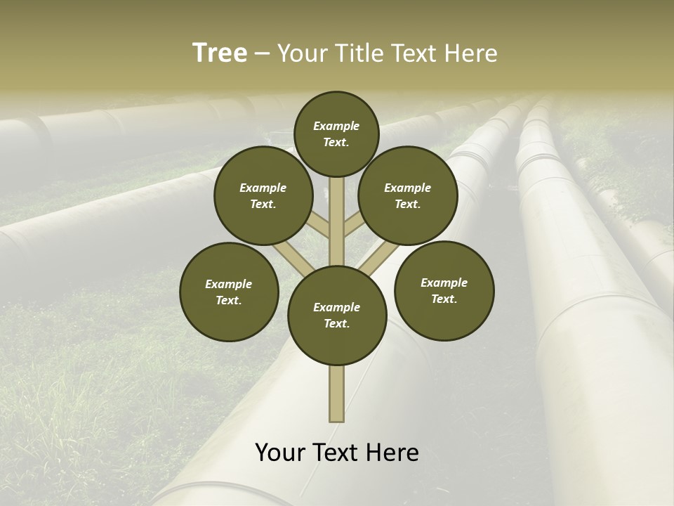 Nuts Pipeline Forest PowerPoint Template