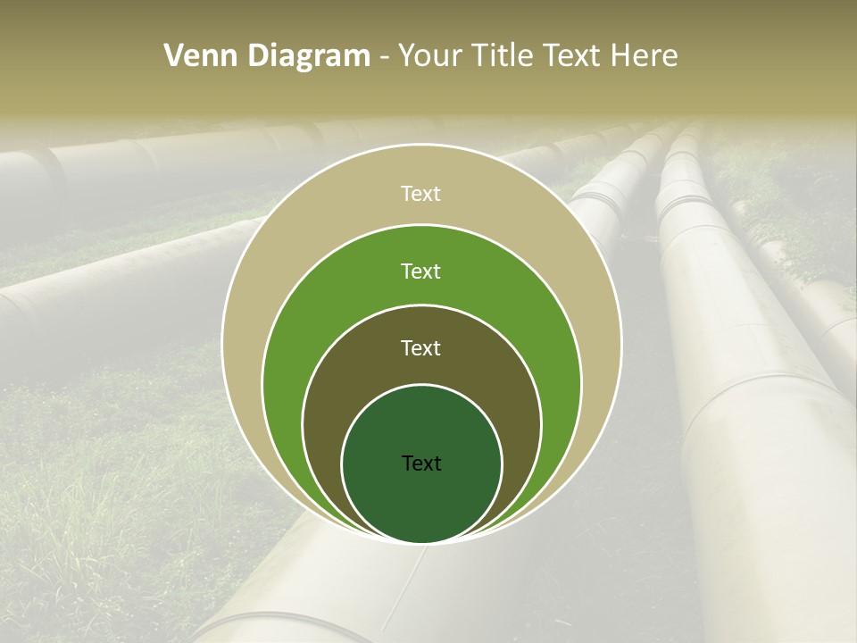 Nuts Pipeline Forest PowerPoint Template