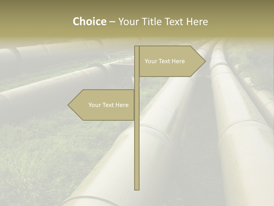 Nuts Pipeline Forest PowerPoint Template