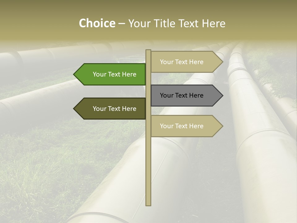 Nuts Pipeline Forest PowerPoint Template