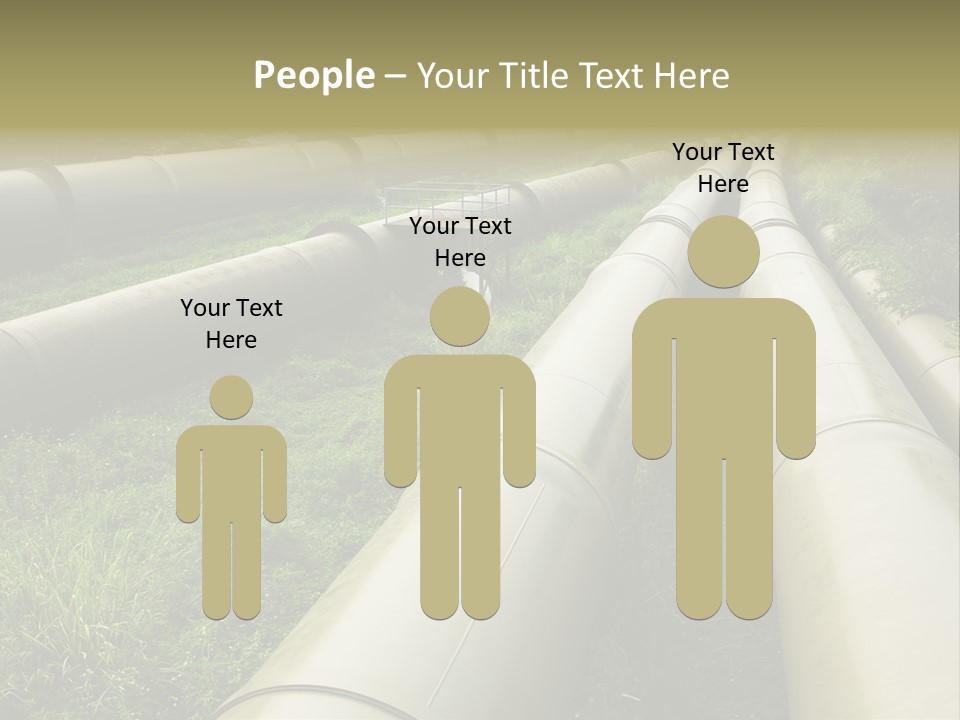 Nuts Pipeline Forest PowerPoint Template