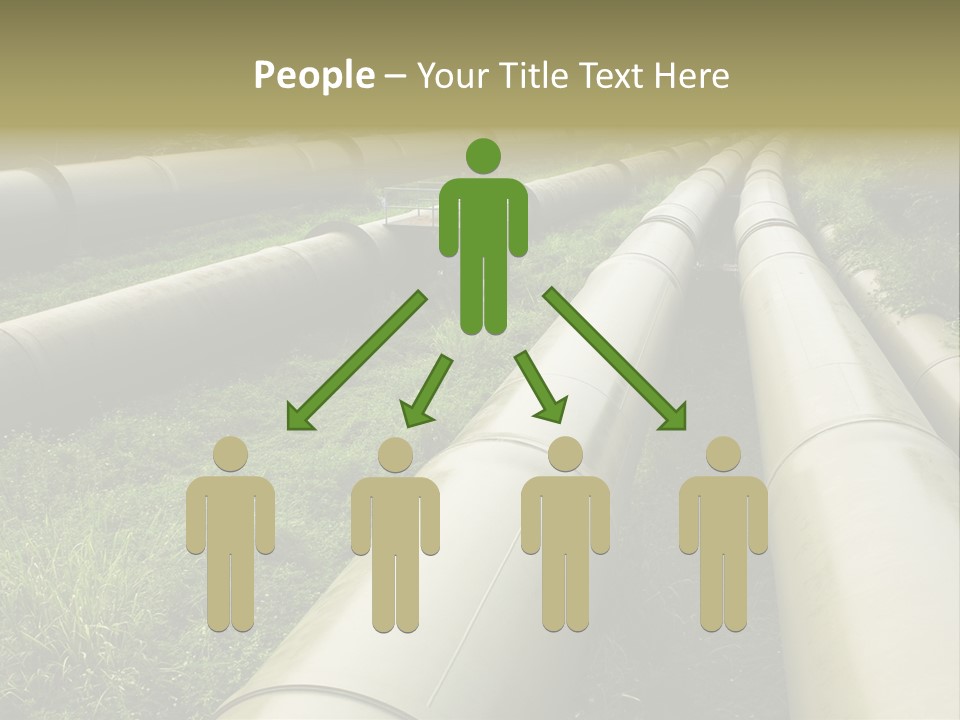 Nuts Pipeline Forest PowerPoint Template