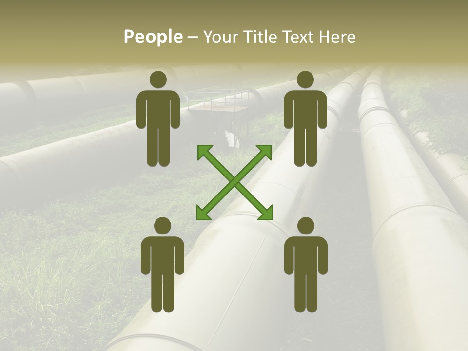 Nuts Pipeline Forest PowerPoint Template