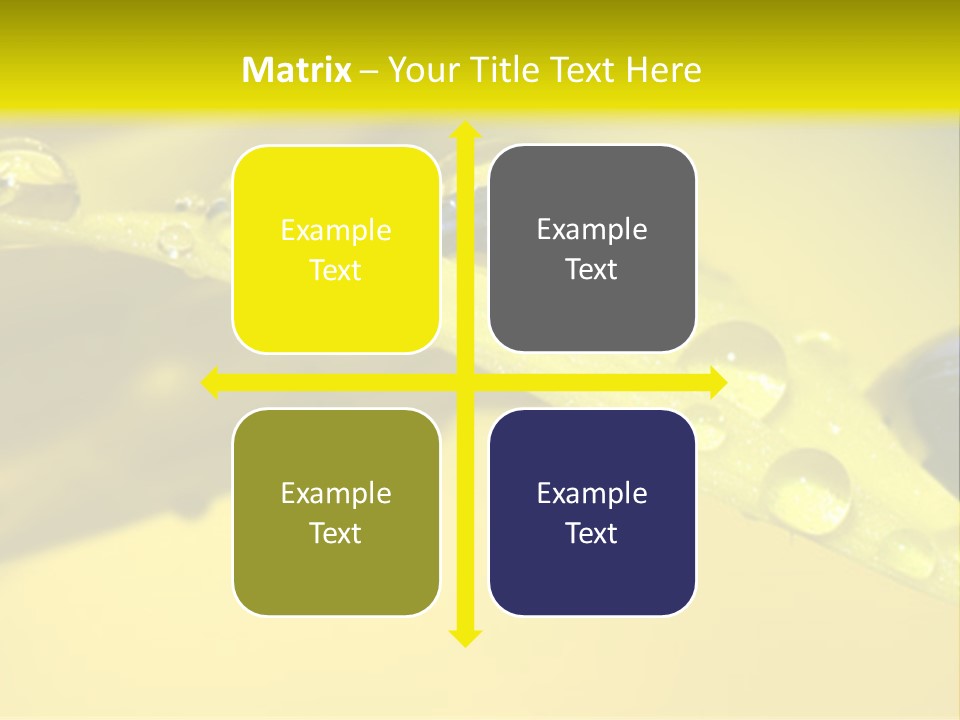 Macro Sunflower Rain PowerPoint Template