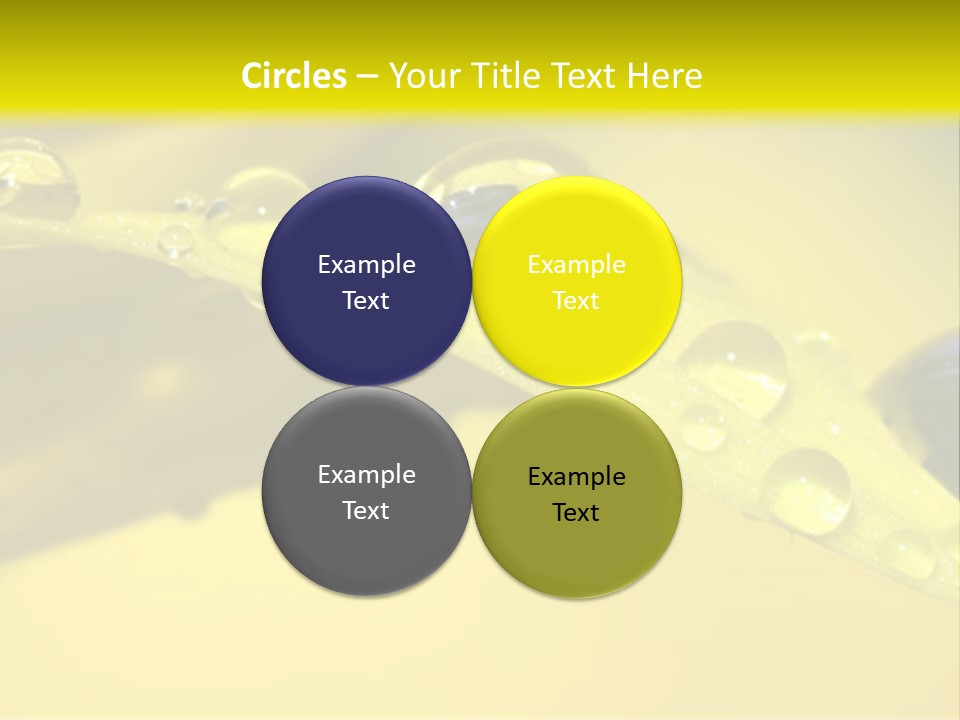 Macro Sunflower Rain PowerPoint Template