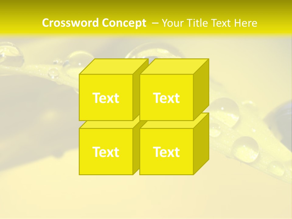 Macro Sunflower Rain PowerPoint Template