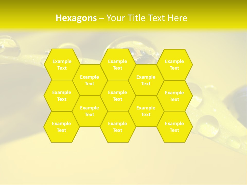 Macro Sunflower Rain PowerPoint Template