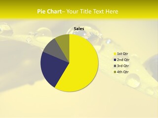 Macro Sunflower Rain PowerPoint Template