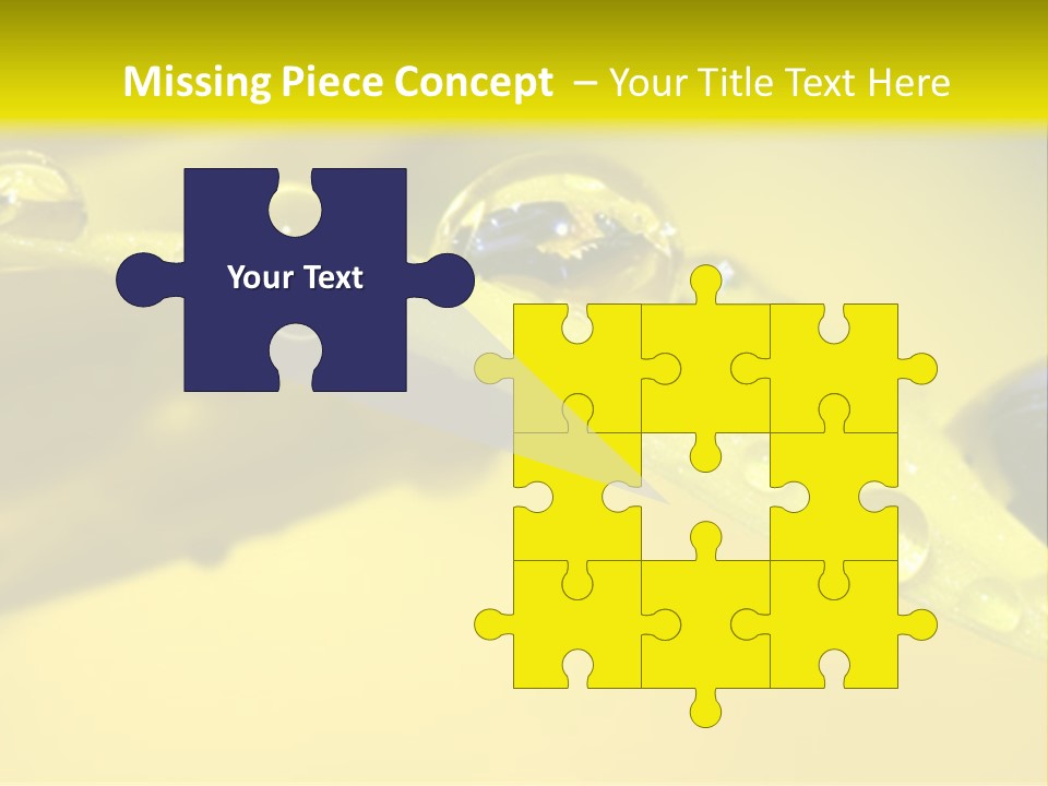 Macro Sunflower Rain PowerPoint Template