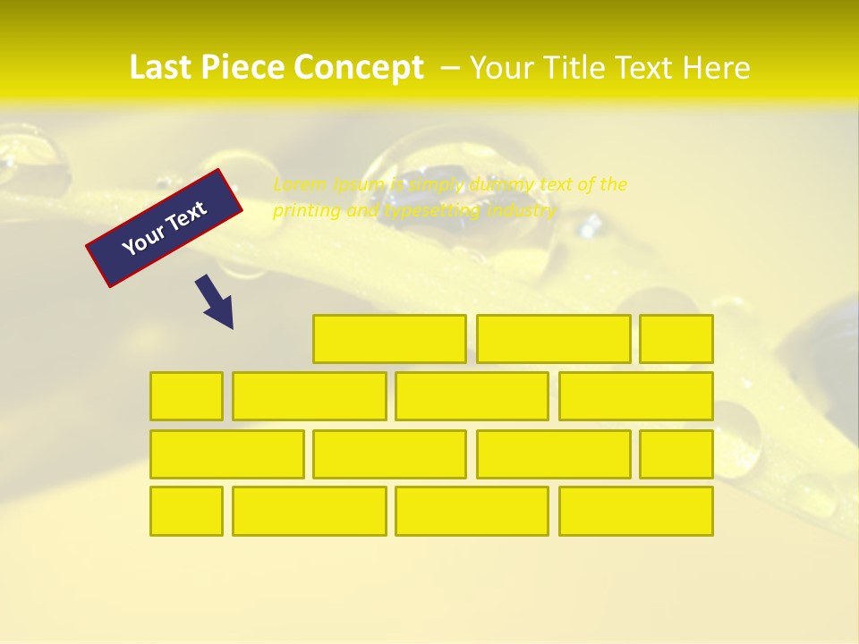 Macro Sunflower Rain PowerPoint Template