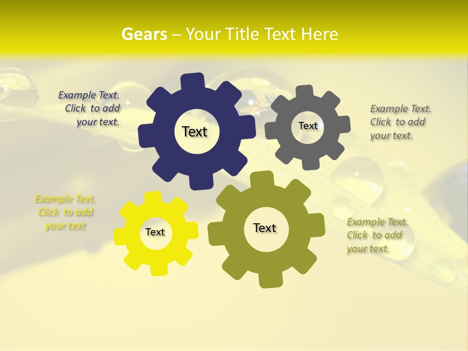 Macro Sunflower Rain PowerPoint Template