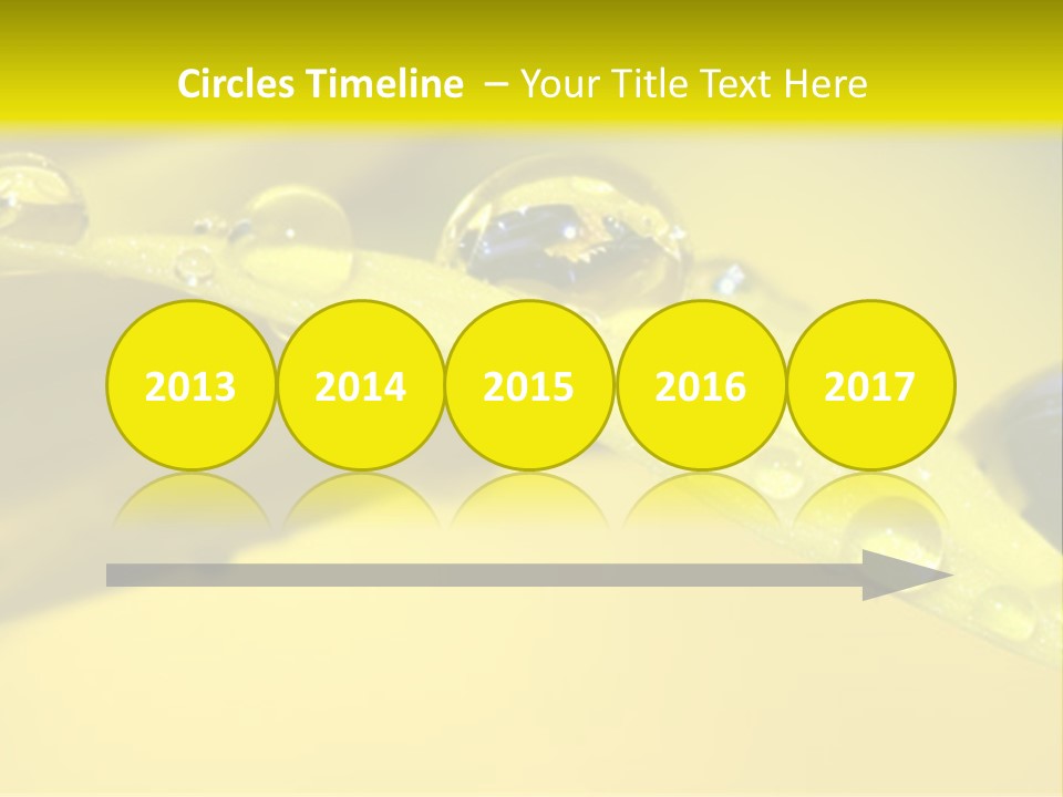 Macro Sunflower Rain PowerPoint Template