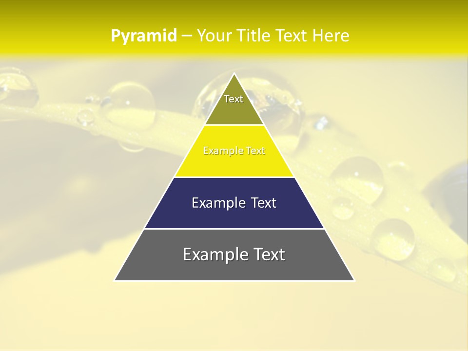 Macro Sunflower Rain PowerPoint Template