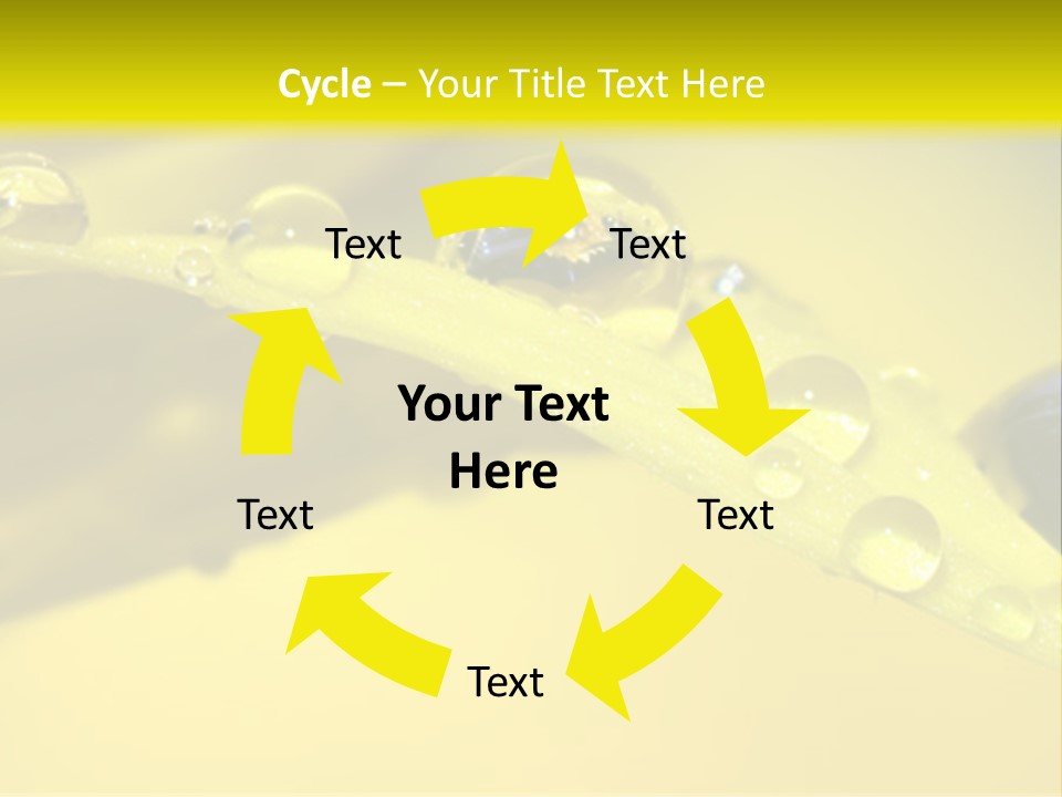 Macro Sunflower Rain PowerPoint Template