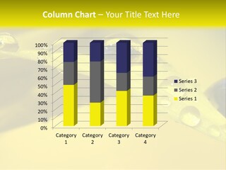 Macro Sunflower Rain PowerPoint Template