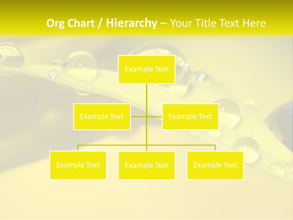 Macro Sunflower Rain PowerPoint Template