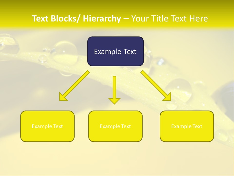 Macro Sunflower Rain PowerPoint Template