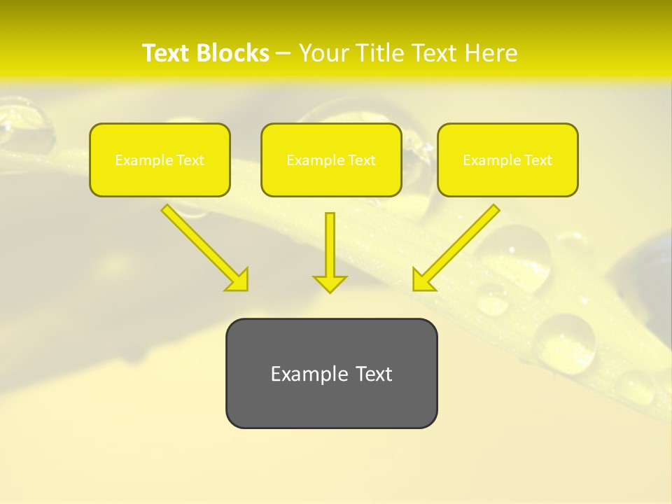 Macro Sunflower Rain PowerPoint Template
