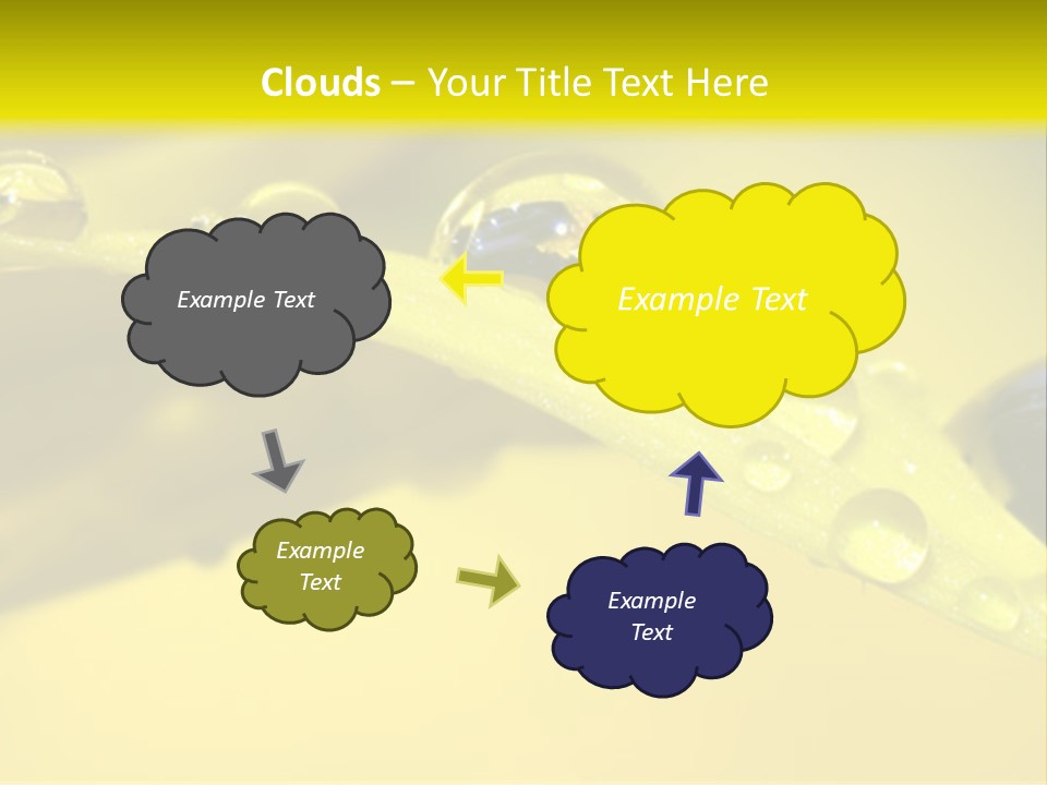 Macro Sunflower Rain PowerPoint Template