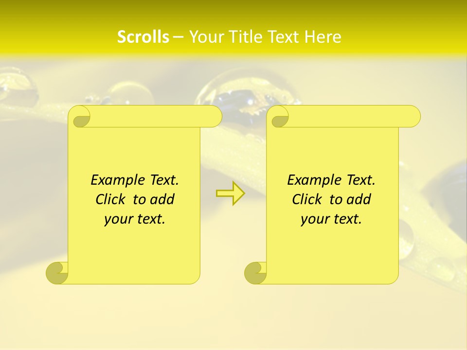 Macro Sunflower Rain PowerPoint Template