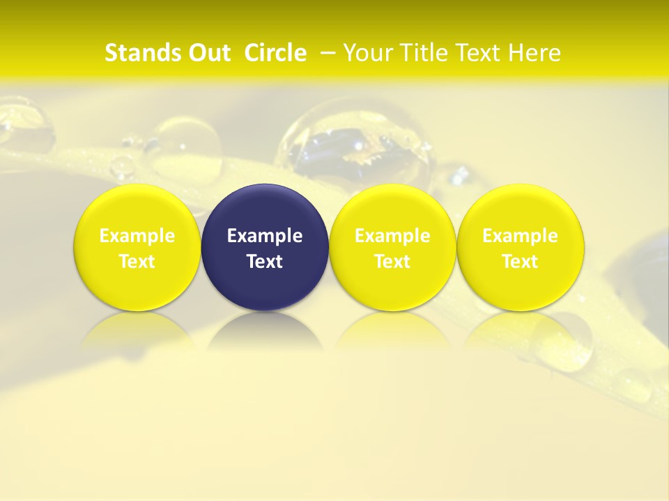 Macro Sunflower Rain PowerPoint Template