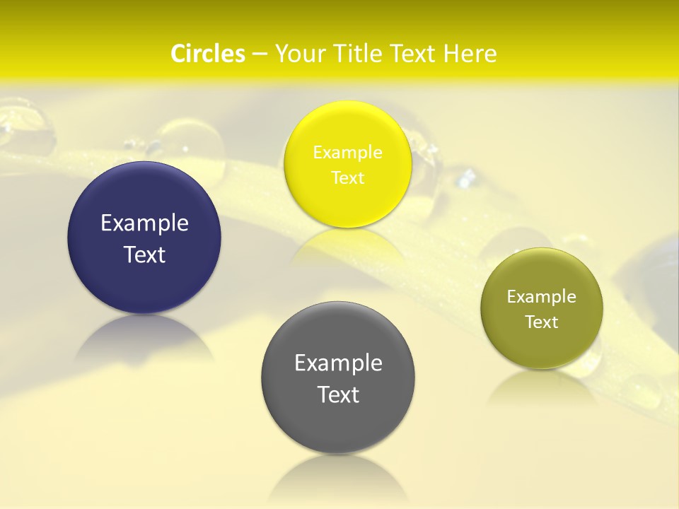 Macro Sunflower Rain PowerPoint Template